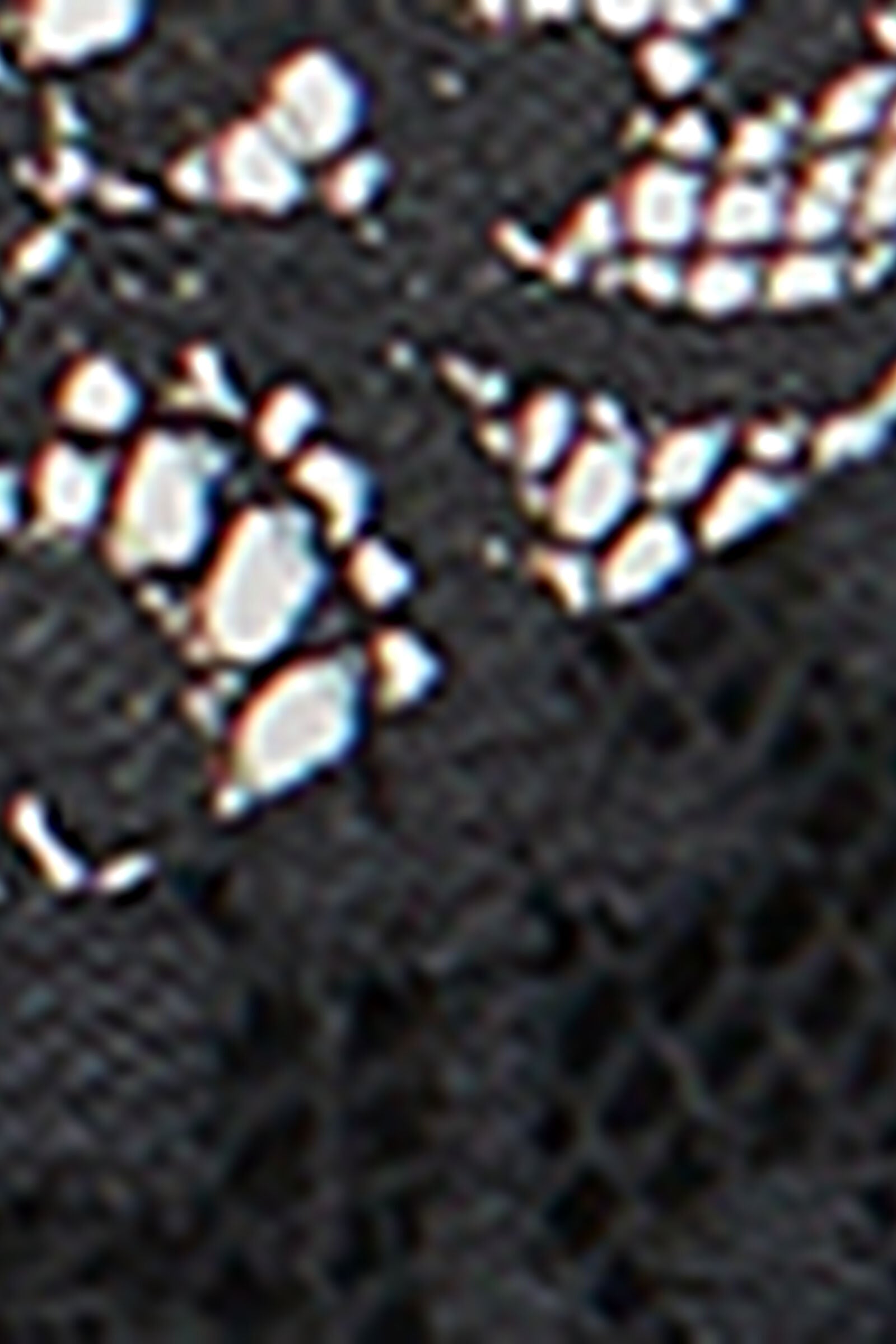BBD2585_019_19-