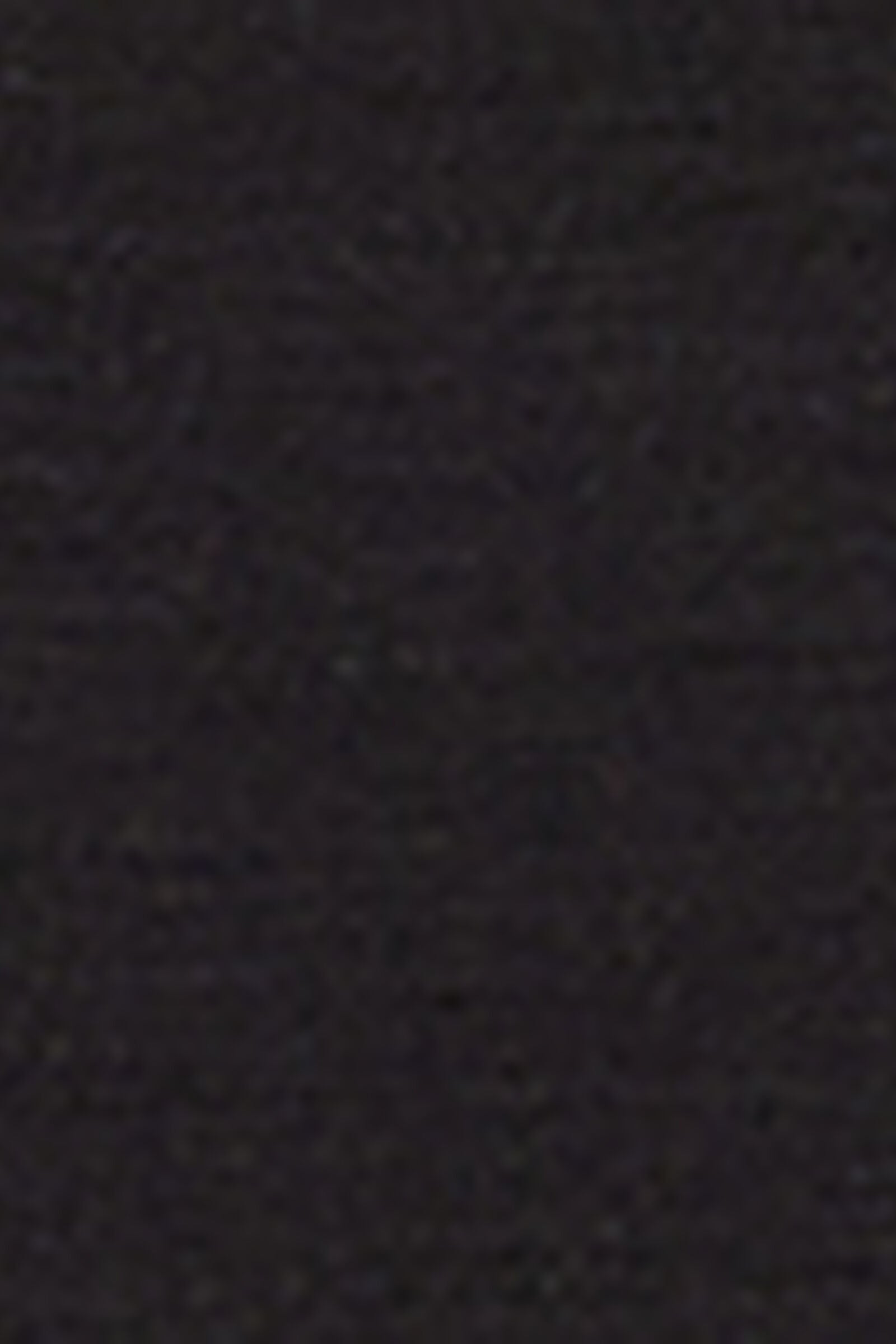BO171V_019_19-