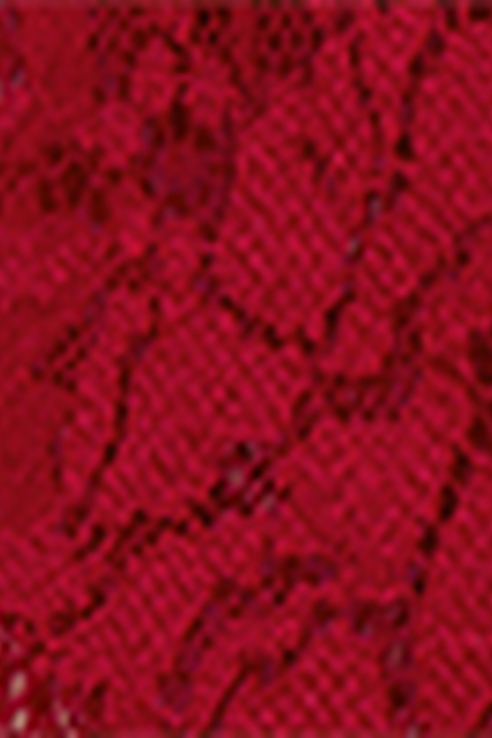 BOD2585_9888_19-