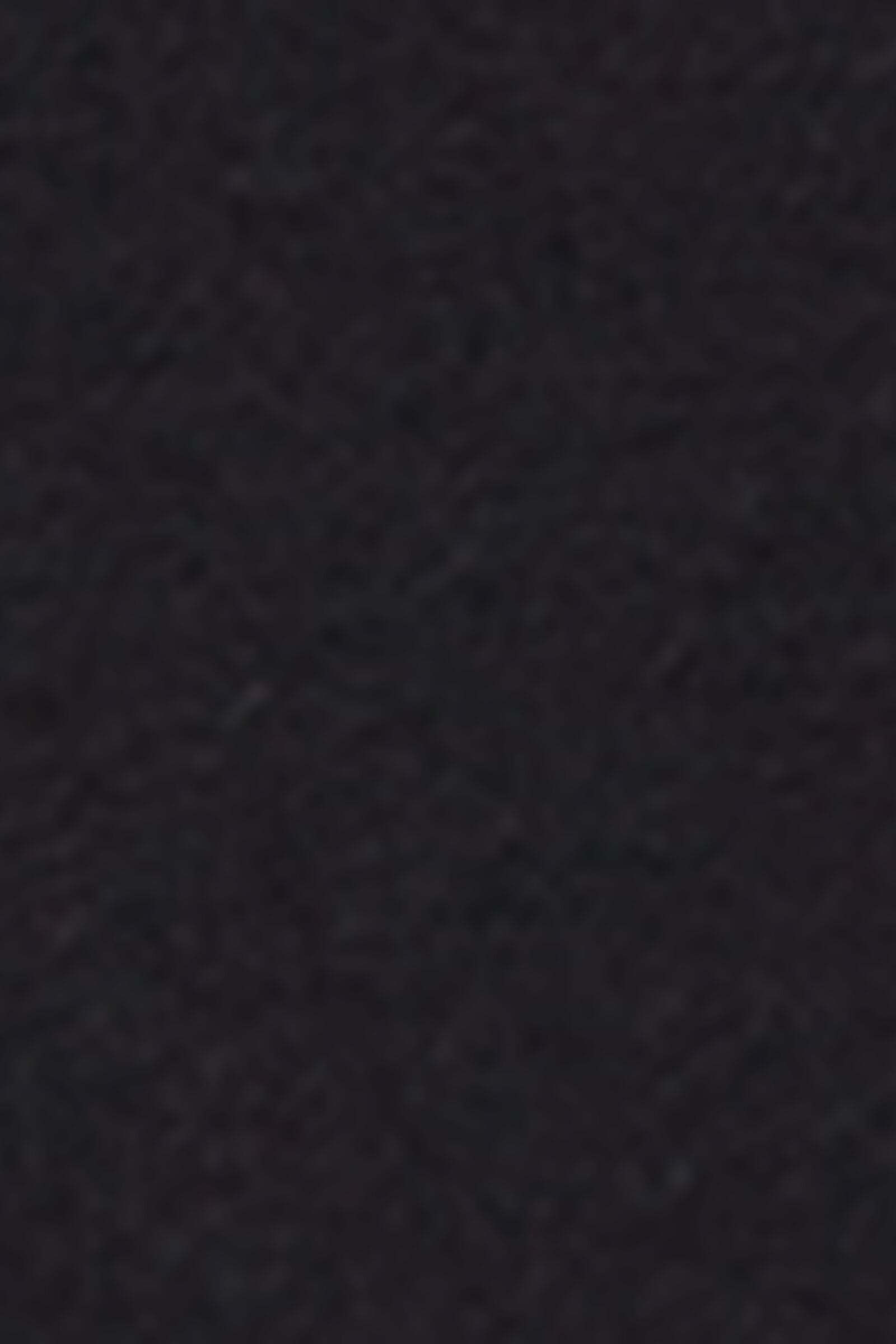 BOD2591_019_19-