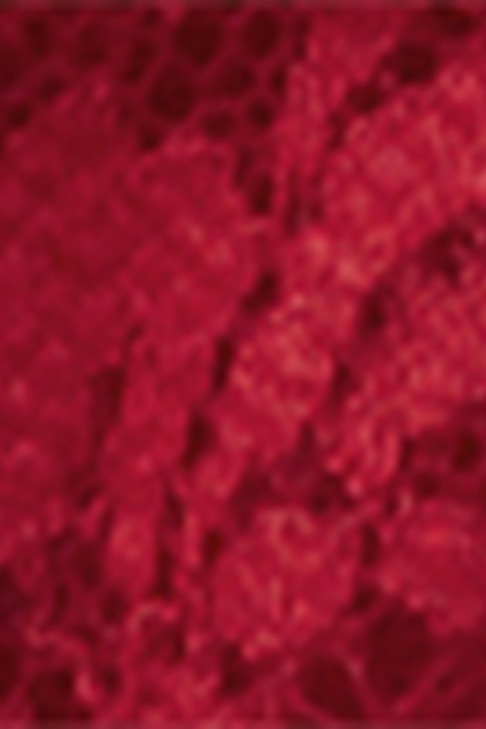 RTB2585_9888_19-
