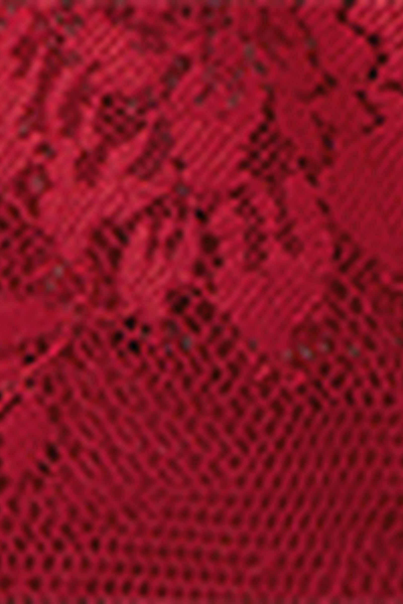 SB2585O_9888_19-