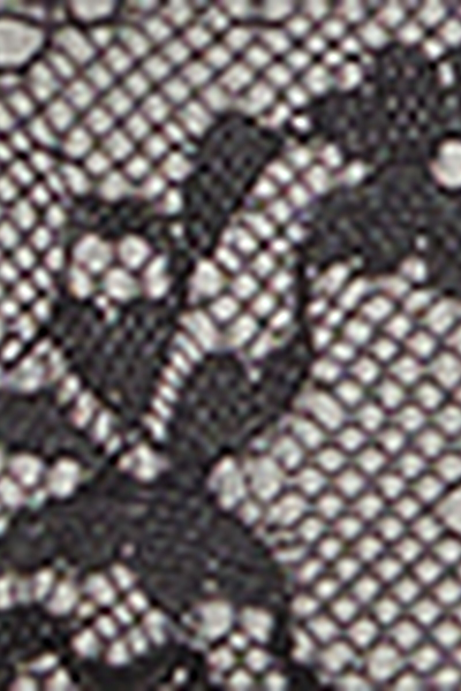 SPD2591_019_19-