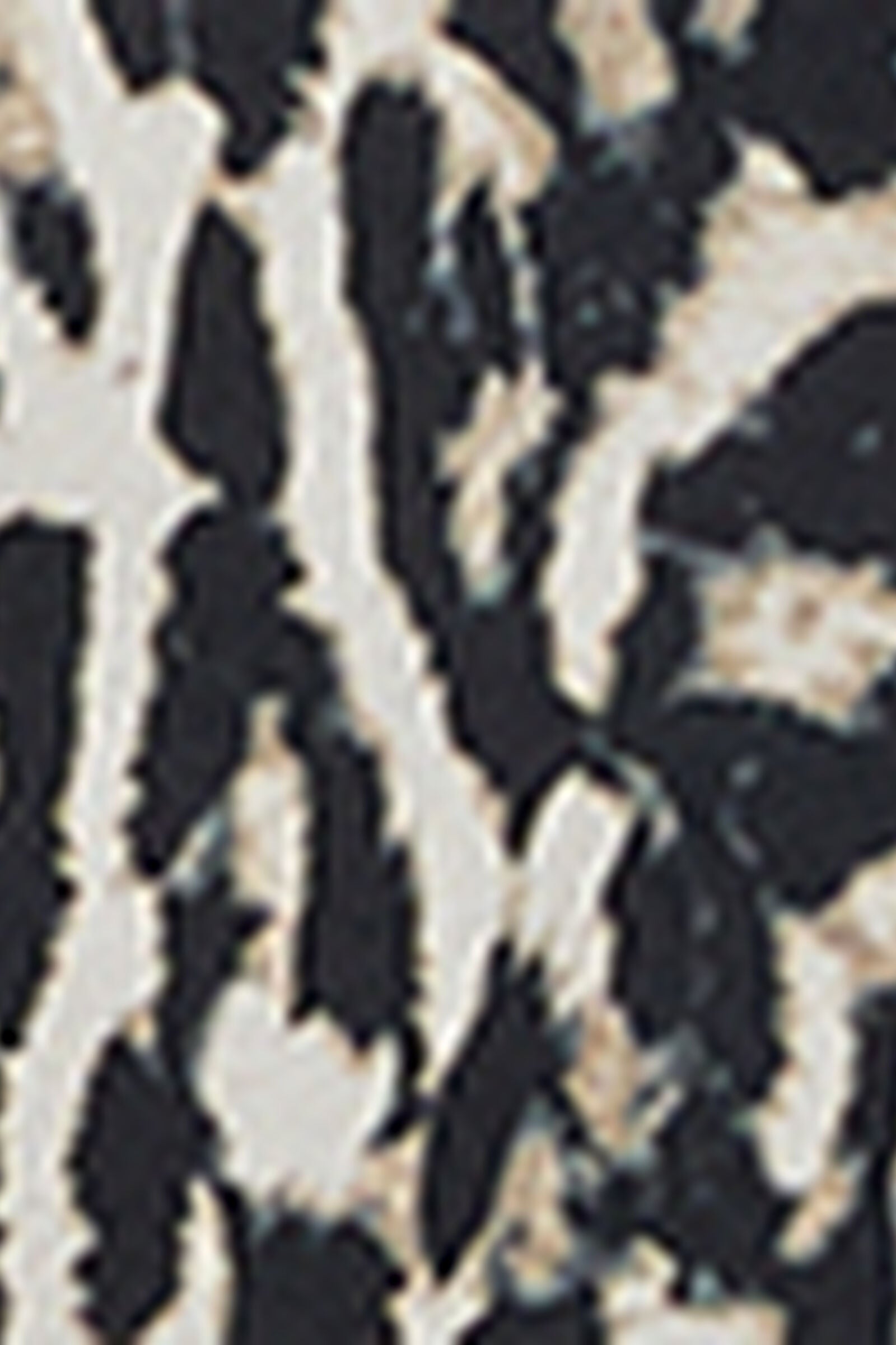 CLD2587_029K_19-