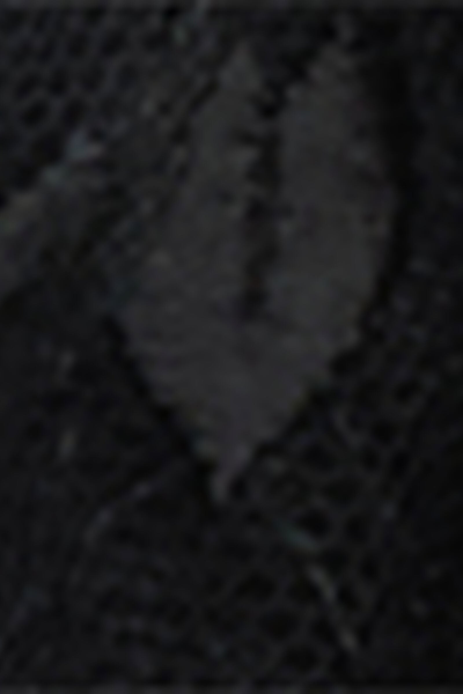 RBD2593_019_19-