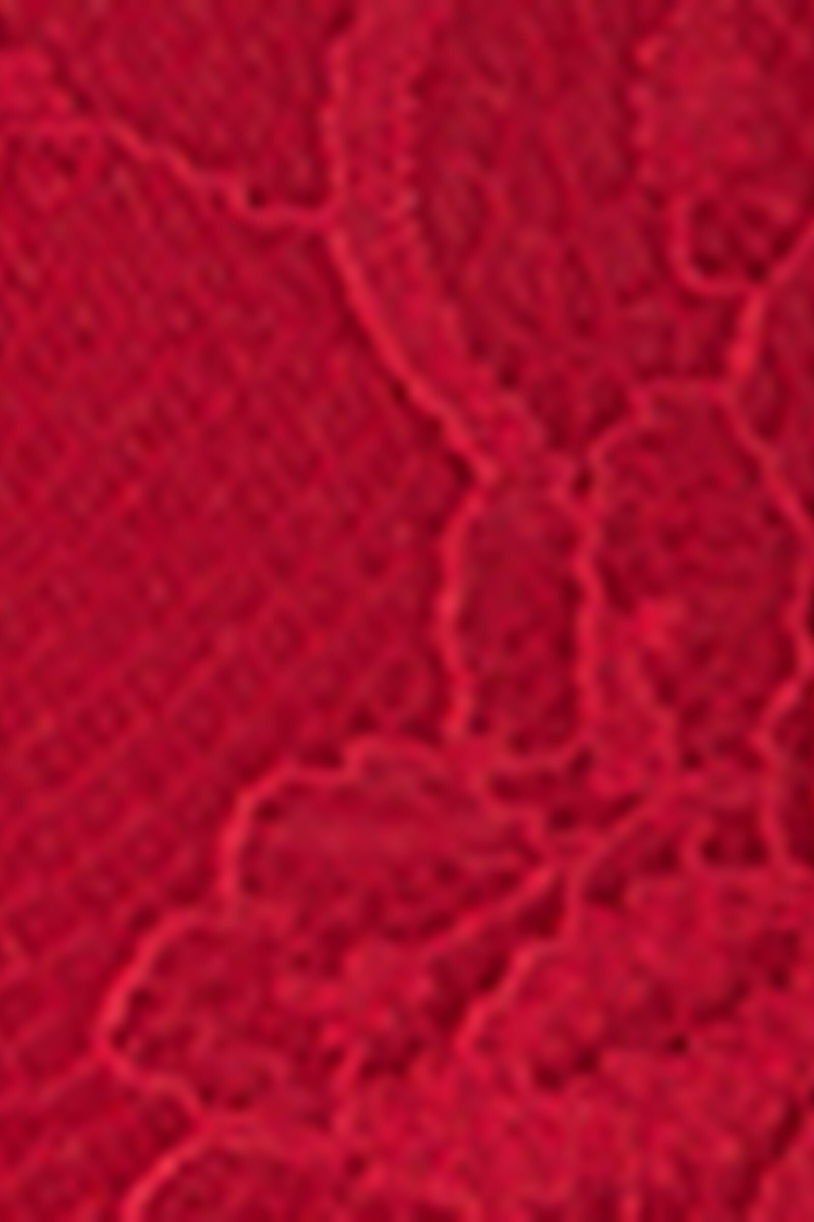 RID2525_9888_19-