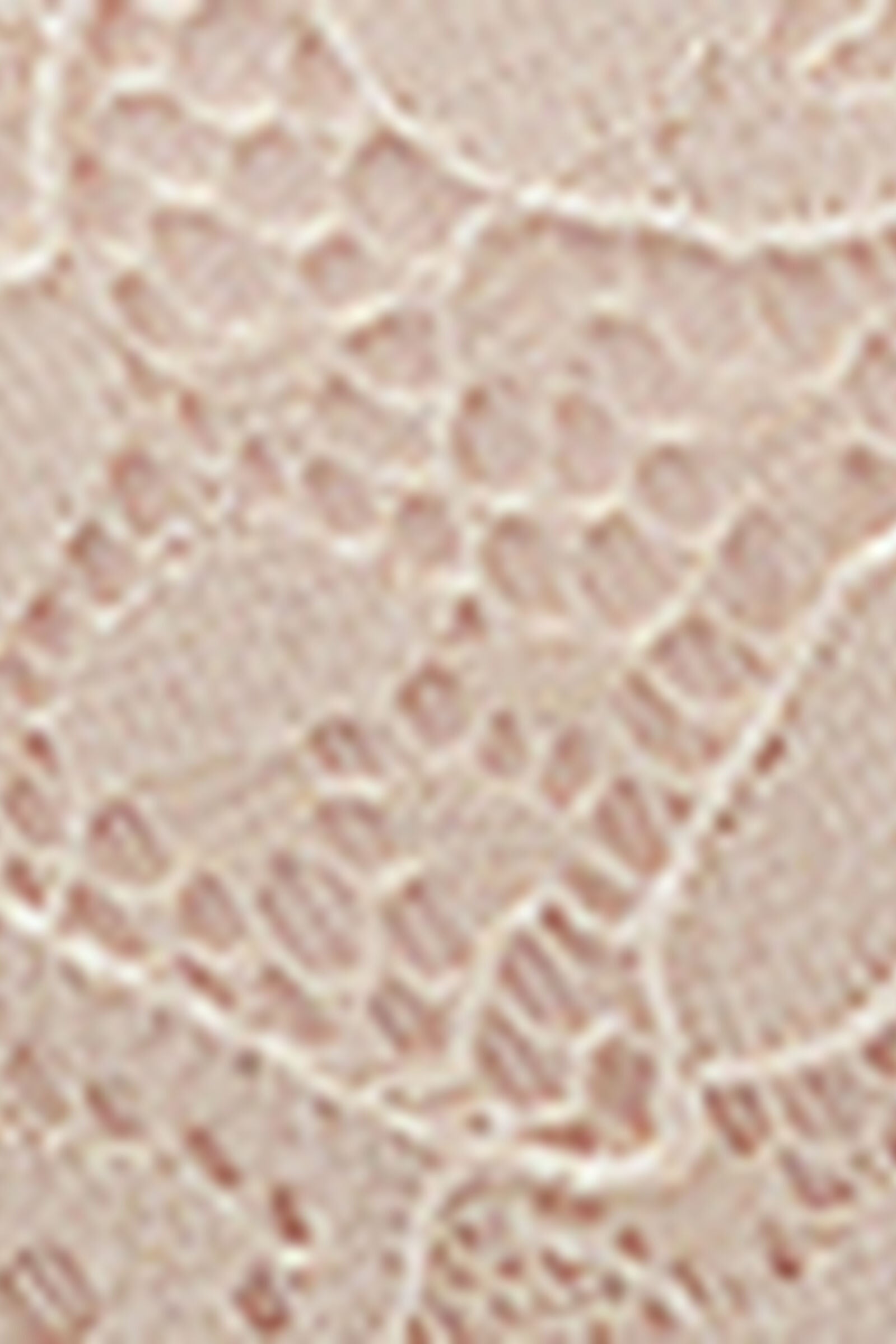 RID97R_2280_19-