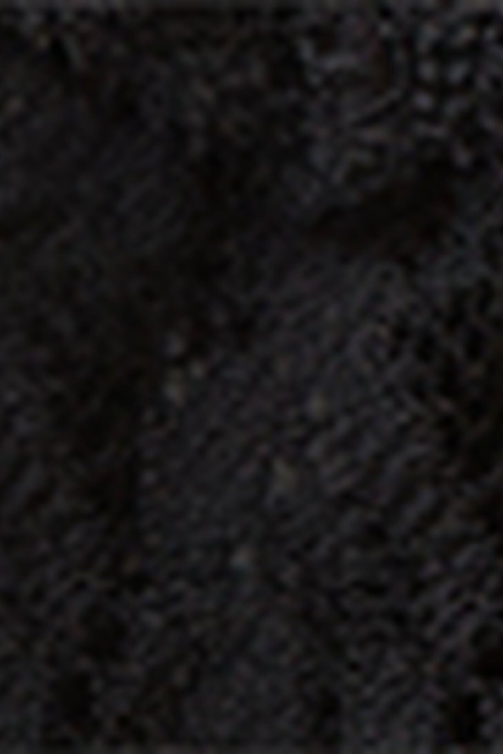 SB2585O_019_19-