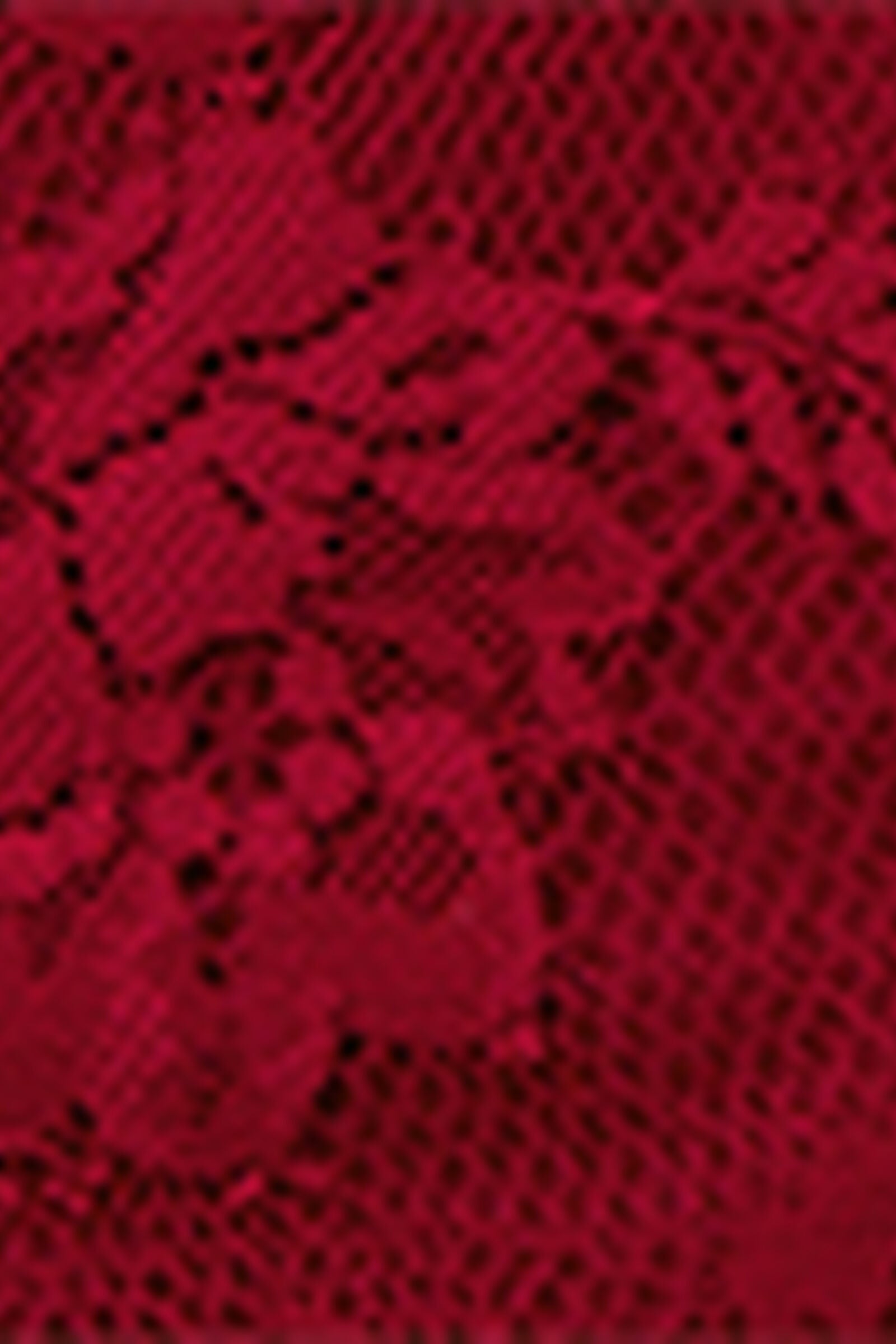 SC2585B_9888_19-